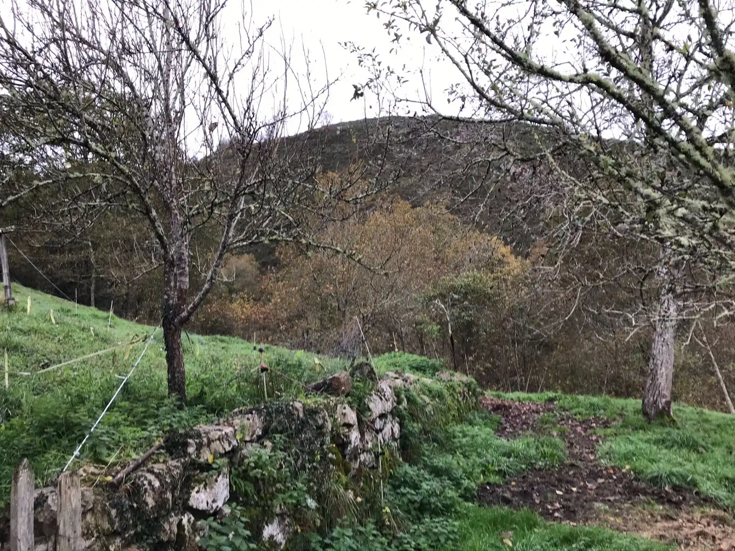 Casa o xalet en venda en Cangas de Onís amb Jardí privat i Traster