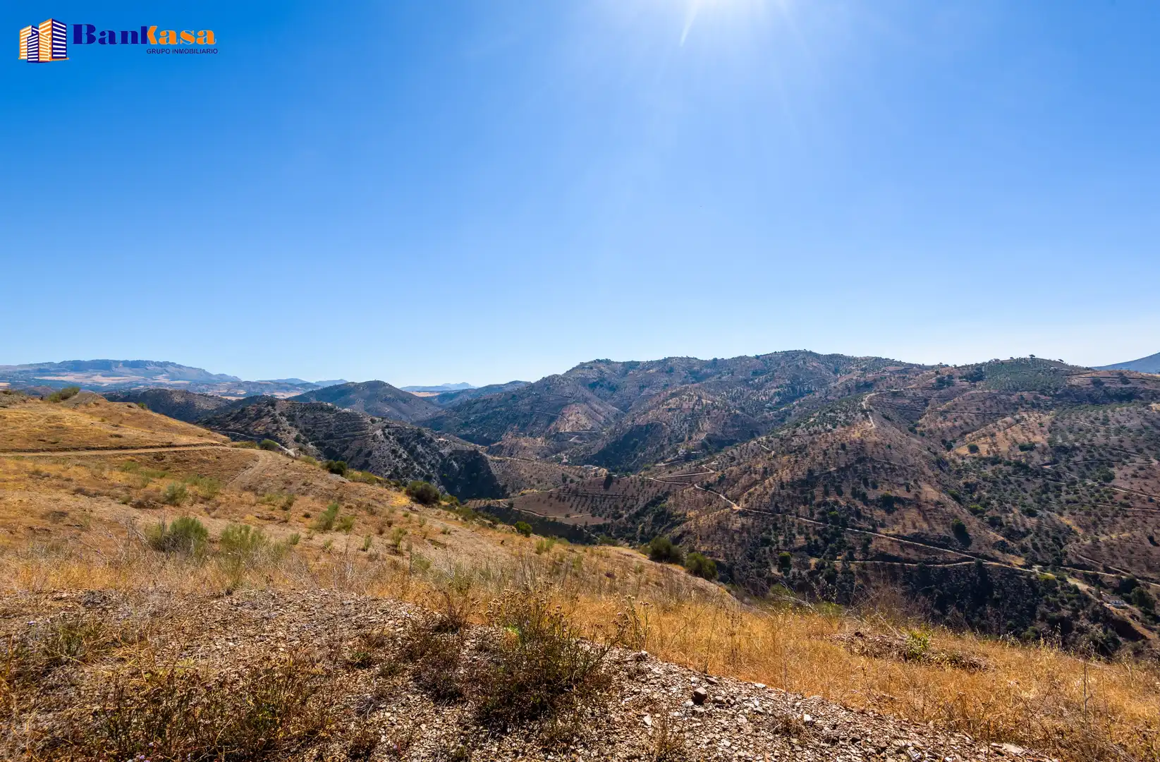 Vista exterior de Finca rústica en venta en Álora con Jardín privado y Trastero