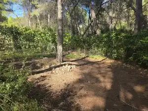 Rustikales Grundstück zum Verkauf in Partida Cumbres de Calicanto, imagen 8