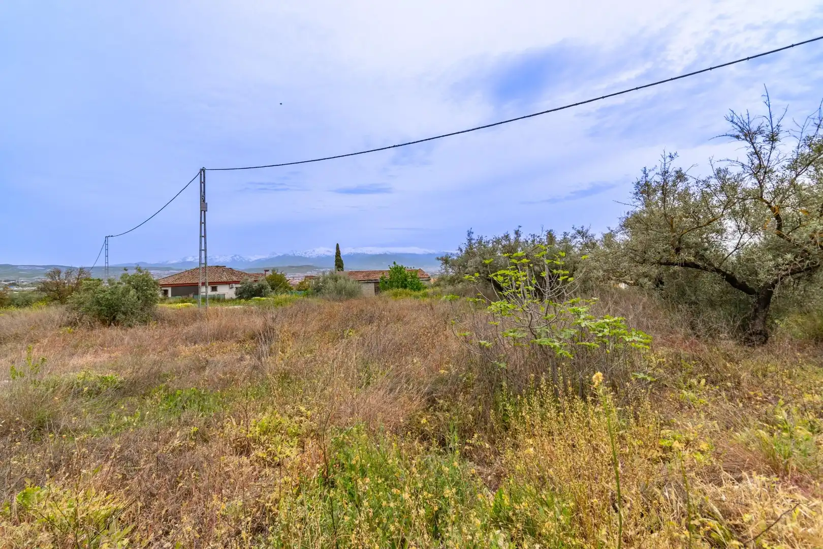 Terreno residencial en venta en El Torreón - Cortijo Pretel, imagen 13