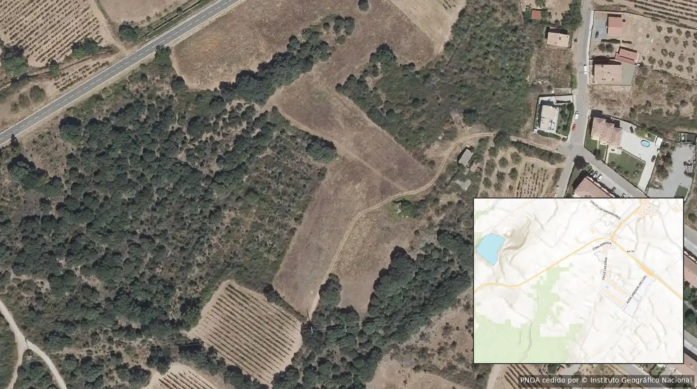 Terrain rustique à vendre à Medrano, imagen 8