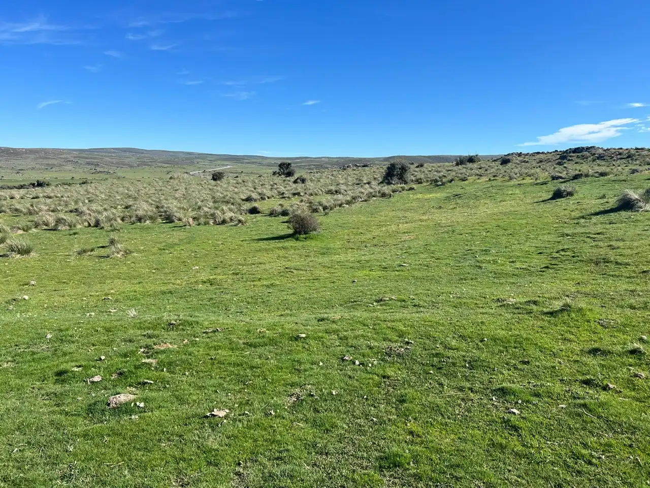 Terreni e lotti in vendita a Tornadizos de Ávila, imagen 8