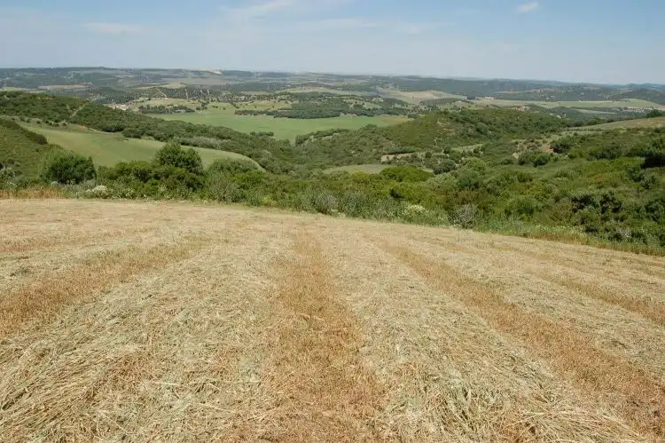 Terreni e lotti in vendita a La Muela, imagen 8
