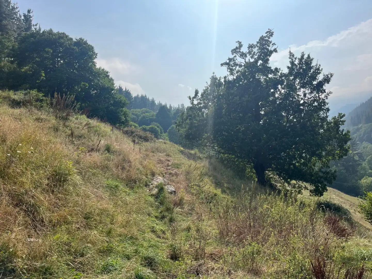 Wohnbaugrundstück zum Verkauf in San Miguel de Luena - SAN MIGUEL DE LUENA, imagen 19