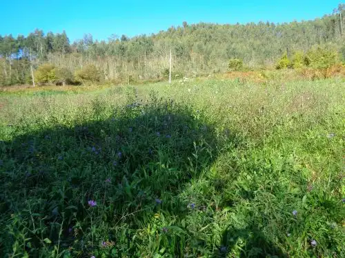 Terreno rustico in vendita a Parroquias suroccidentales, imagen 4
