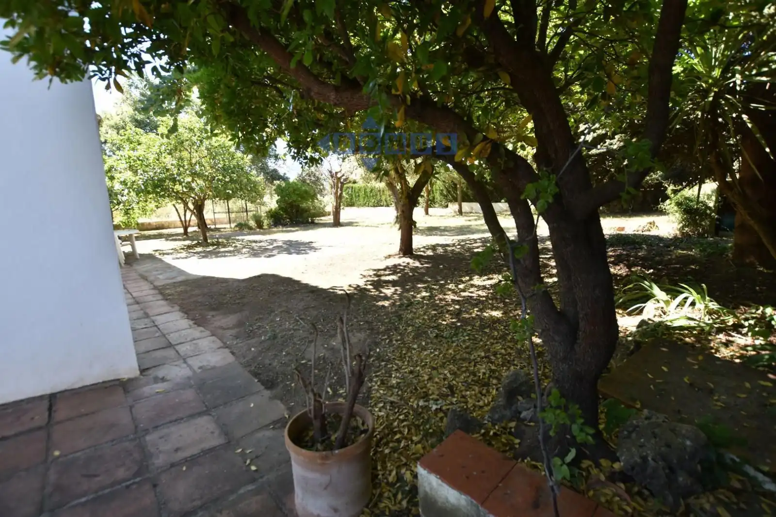 Villa mit Terrasse zum Verkauf in Partidas Norte, imagen 5