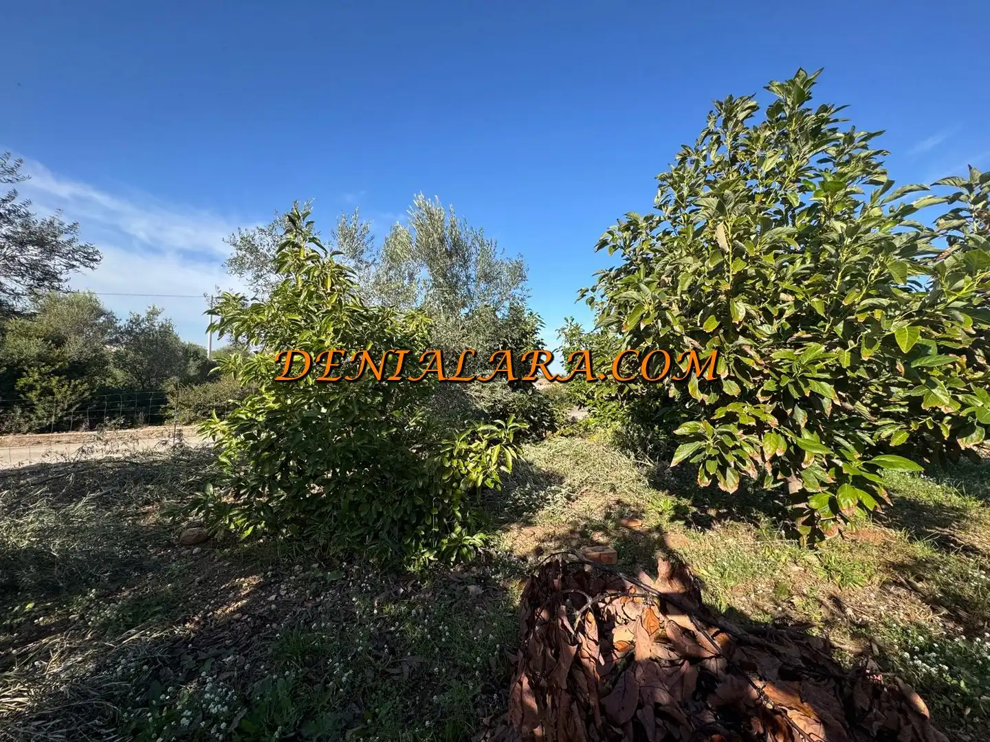 Rural land for sale in Pego, imagen 7
