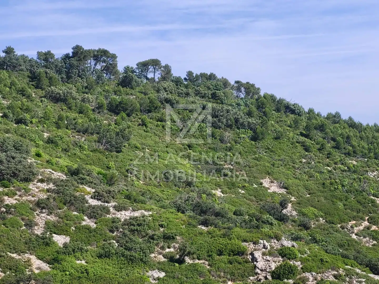Terreno rustico in vendita a Canet lo Roig, imagen 26