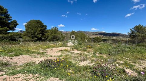 Photo 4 of Land for sale in Calle Zona la Paloma, S/n, Totana, Murcia