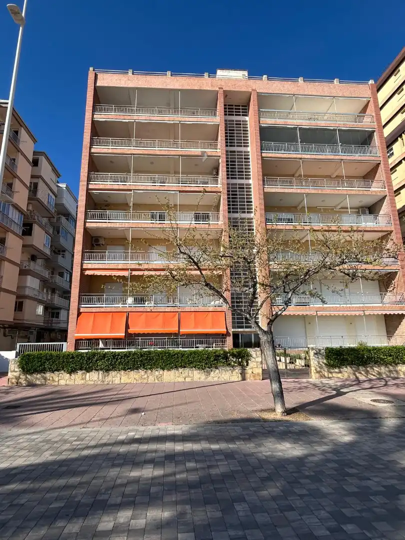 Vista exterior de Apartament en venda en Gandia amb Aire condicionat, Terrassa i Moblat