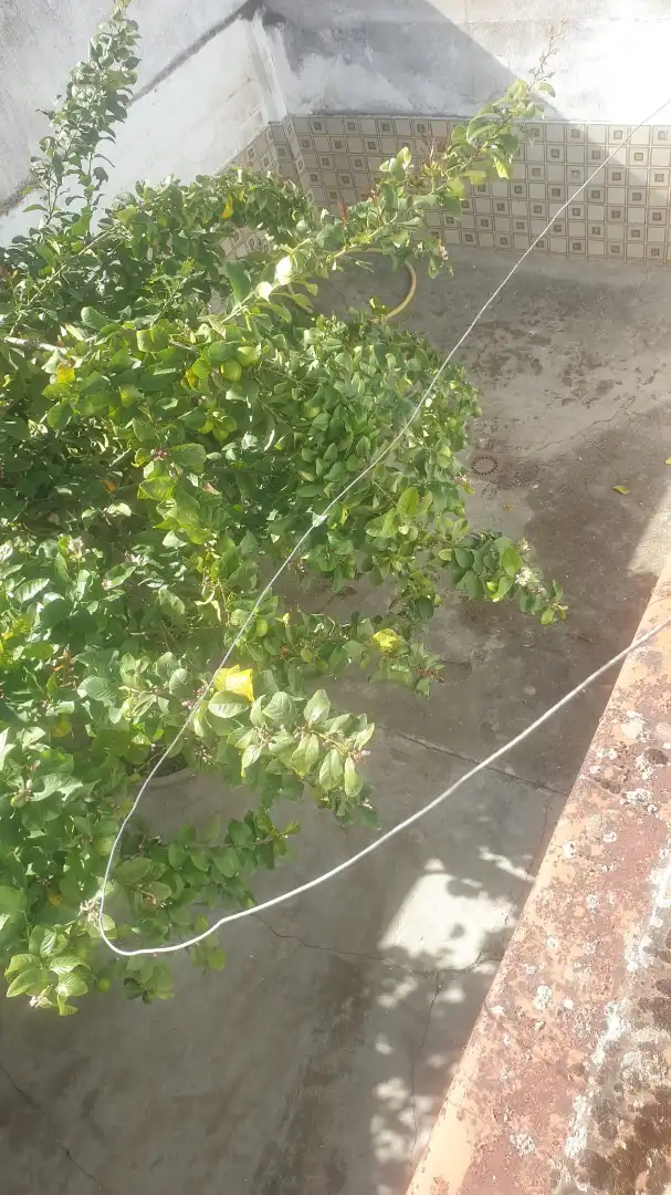 Casa en venda a Parque de la Constitución 5a, imagen 15