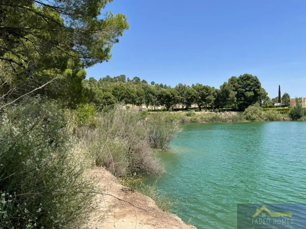 Villa avec piscine à vendre à Calasparra, imagen 26