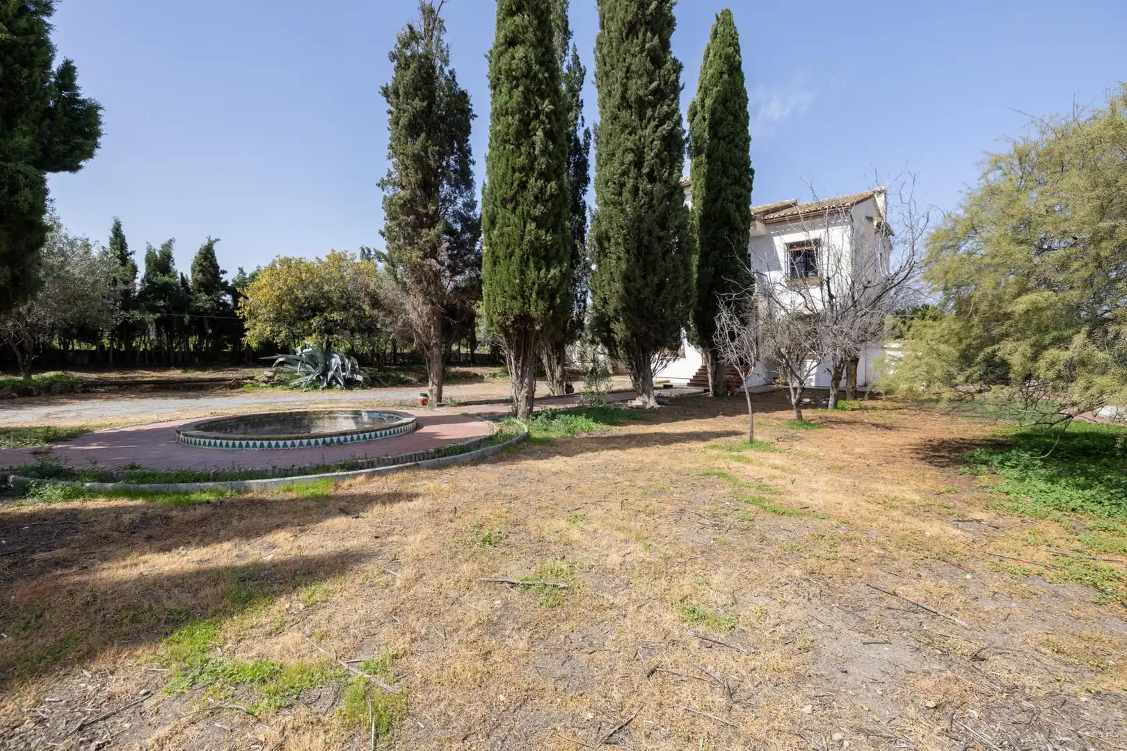 Chalet con piscina en venta en Calle Camino del Almendral 4, imagen 5