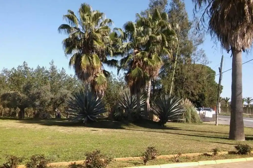 Casa o chalet de alquiler en Urbanizacion el Campillo, Mairena del Alcor