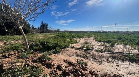 Photo 4 of Country homes for sale in Torre-Pacheco ciudad, Torre-Pacheco