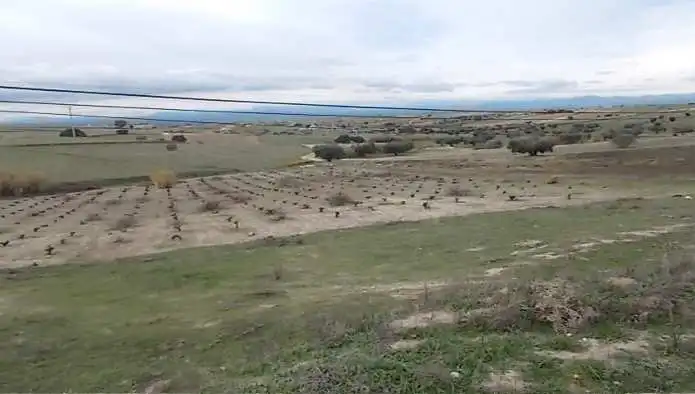 Rustikales Grundstück zum Verkauf in Pt Paraje La Perdiguera, imagen 8