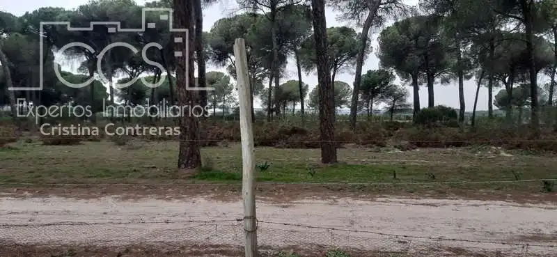 Terreni e lotti in vendita a Almonte ciudad, imagen 3