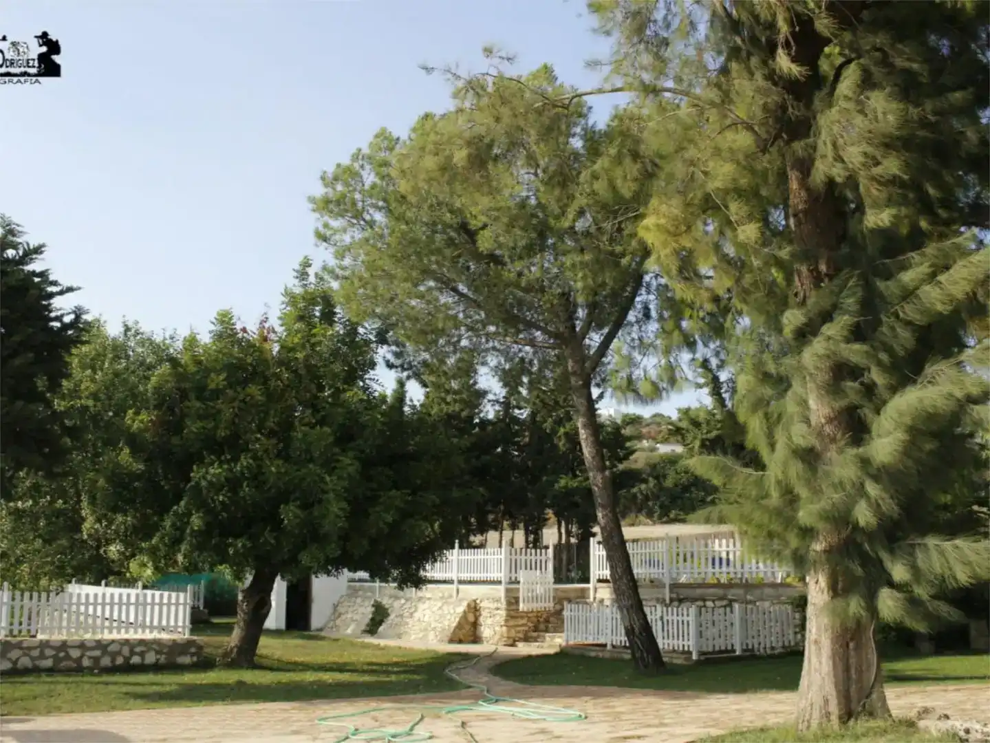 Jardí de Finca rústica en venda en Gilena amb Aire condicionat i Piscina