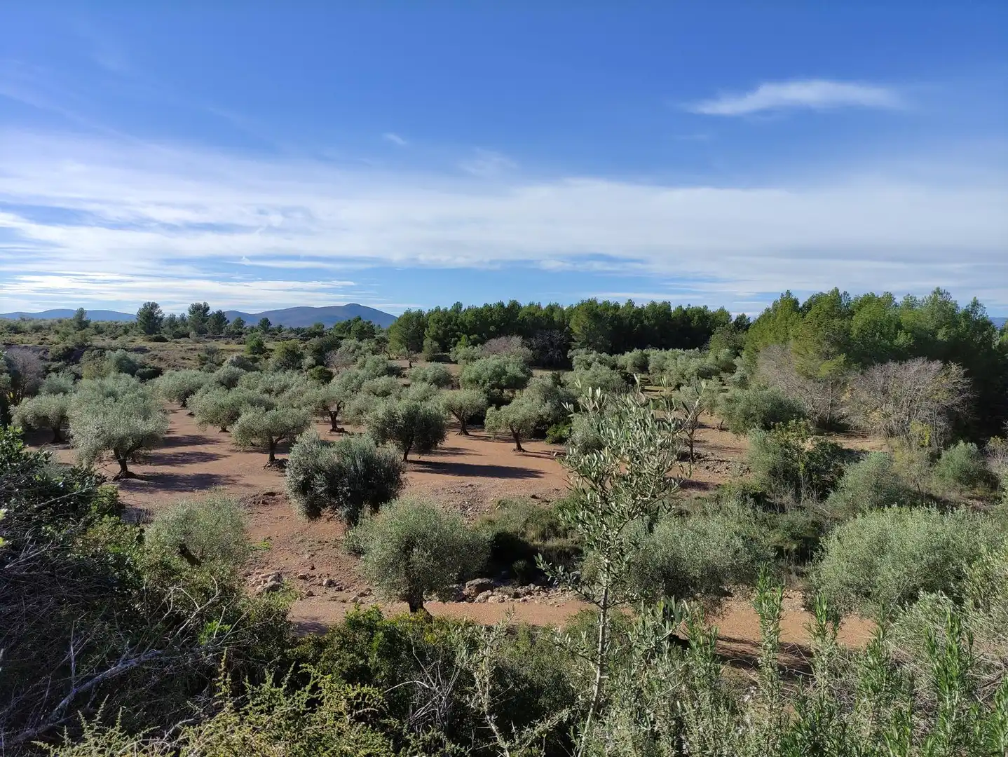 Terreno rustico in vendita a Carrer Verge de Gràcia, imagen 11