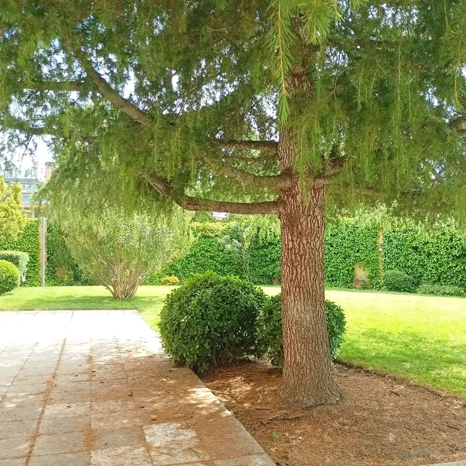 Jardí de Pis de lloguer en Las Rozas de Madrid amb Aire condicionat, Calefacció i Terrassa