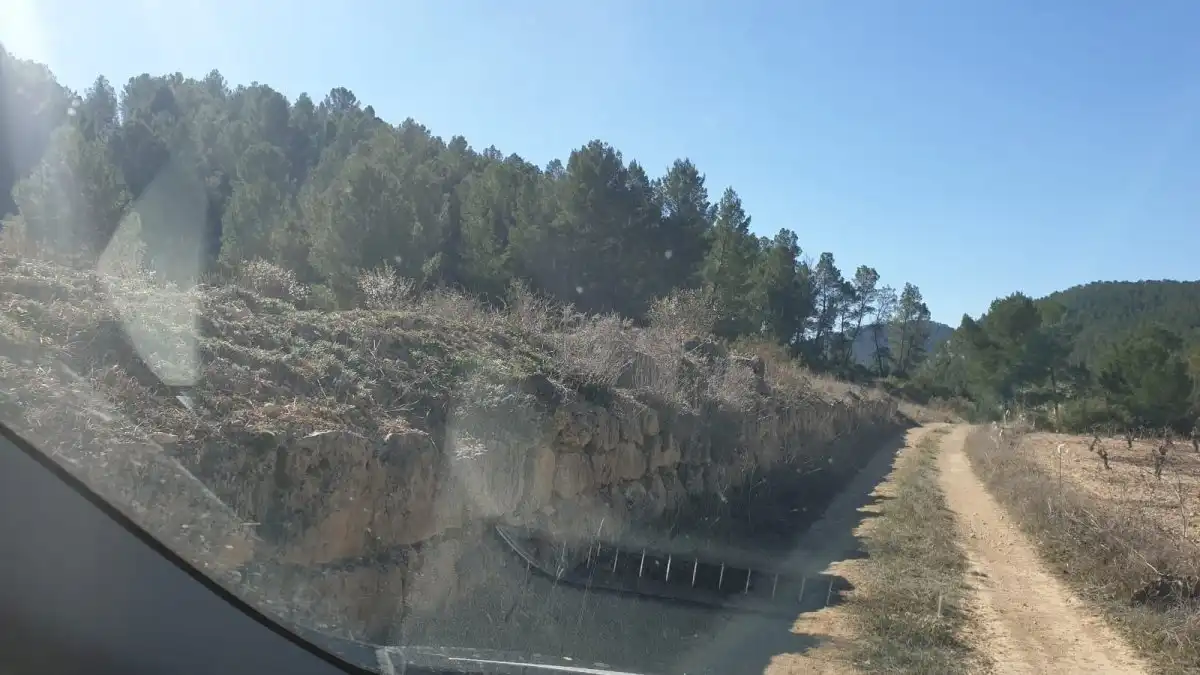 Terrain résidentiel à vendre à Requena, imagen 7