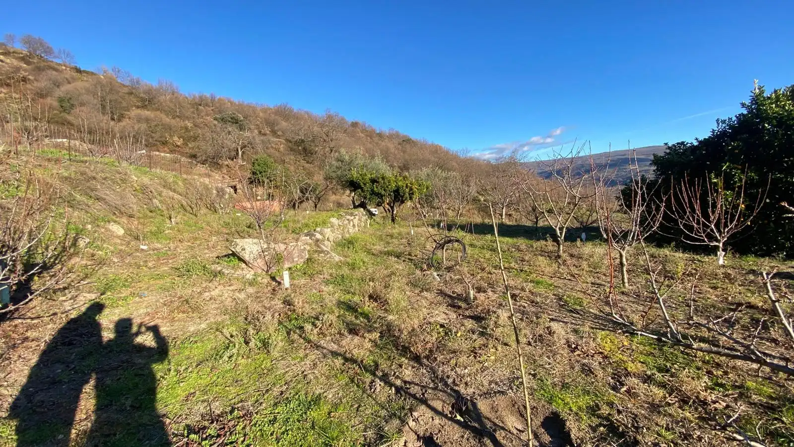 Terreni e lotti in vendita a El Torno, imagen 10