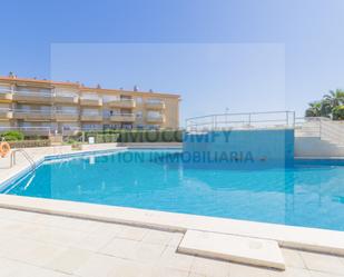 Swimming pool of Flat for sale in L'Estartit