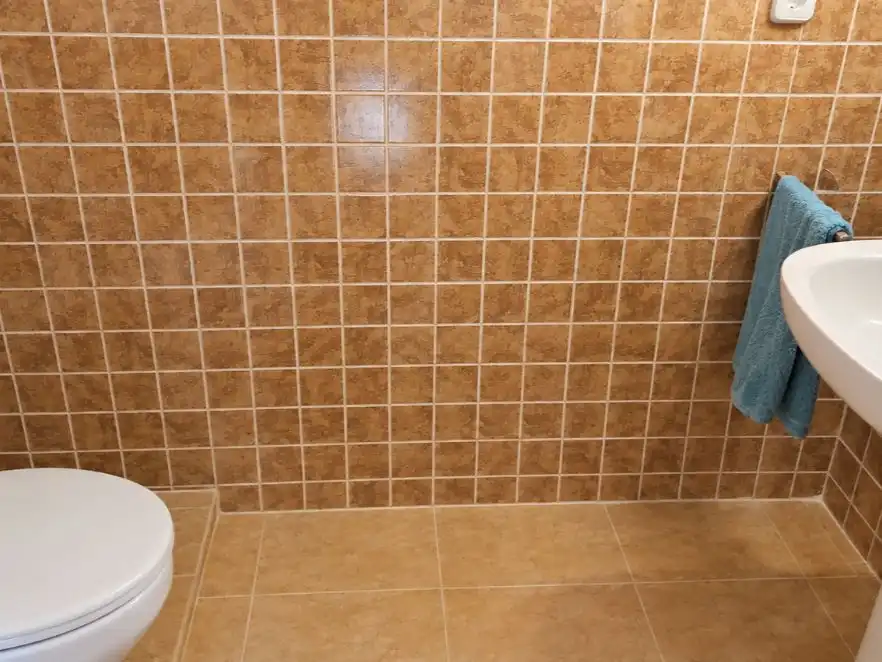 Baño de Casa o chalet en venta en Barbolla, Segovia