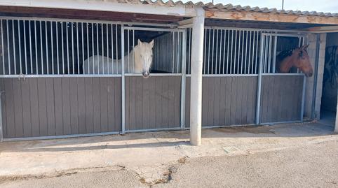 Foto 4 de Finca rústica en venda a Monóvar  / Monòver, Alicante