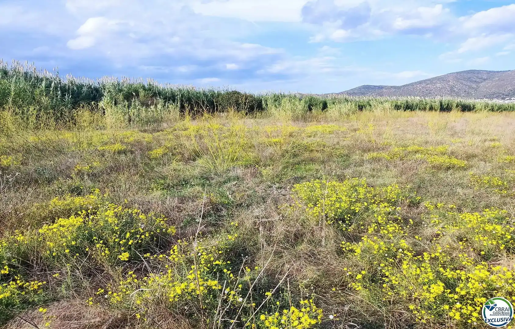 Residential land for sale in Carretera Vilamacolum 0, imagen 3