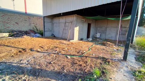 Foto 5 de Residencial en venta en Munive, La Jara, Sanlúcar de Barrameda