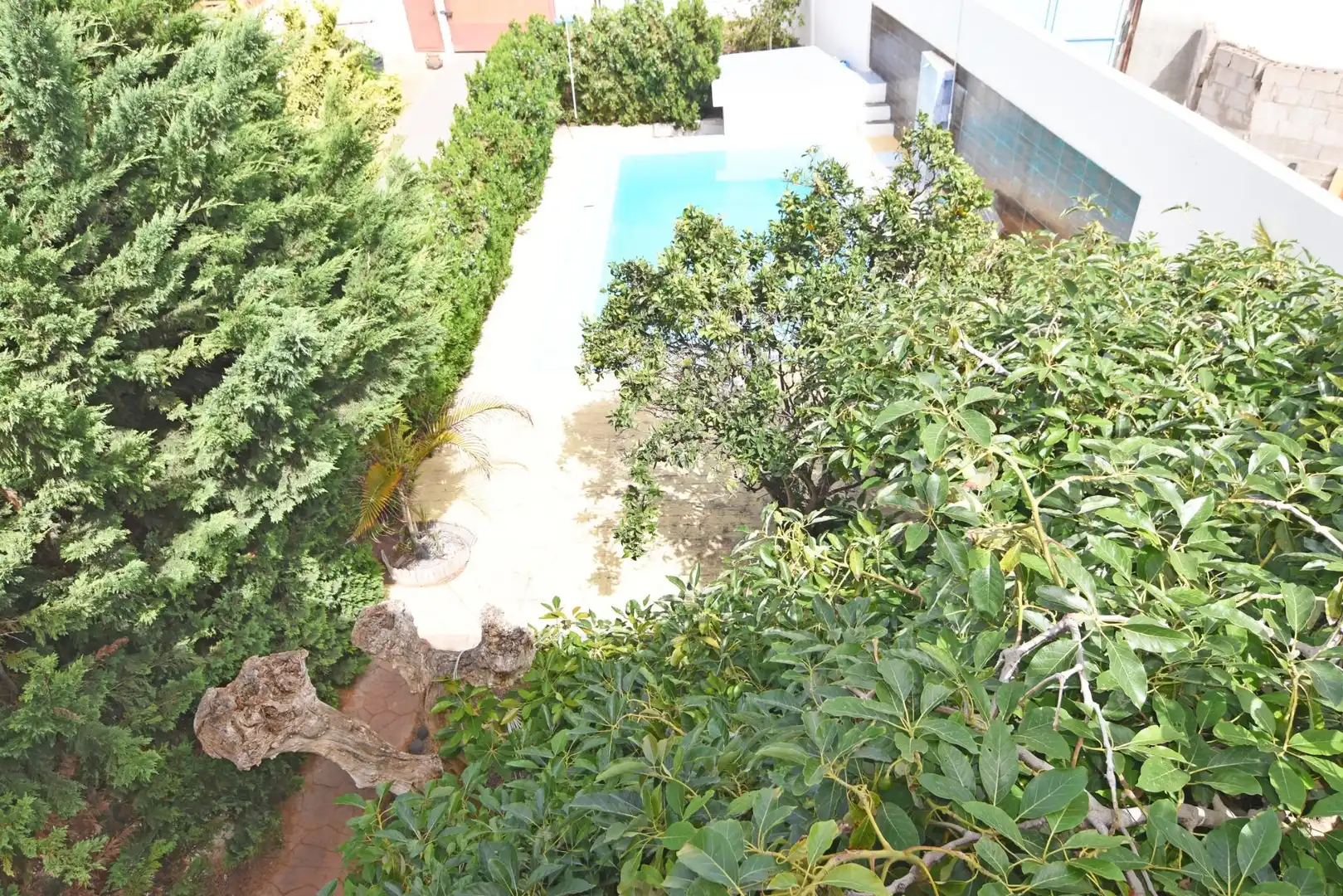 Piscina de Casa o chalet en venta en Firgas