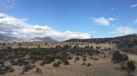 SUELO URBANIZABLE EN LOS JUNCOSULEAMURCIA, immagine 2