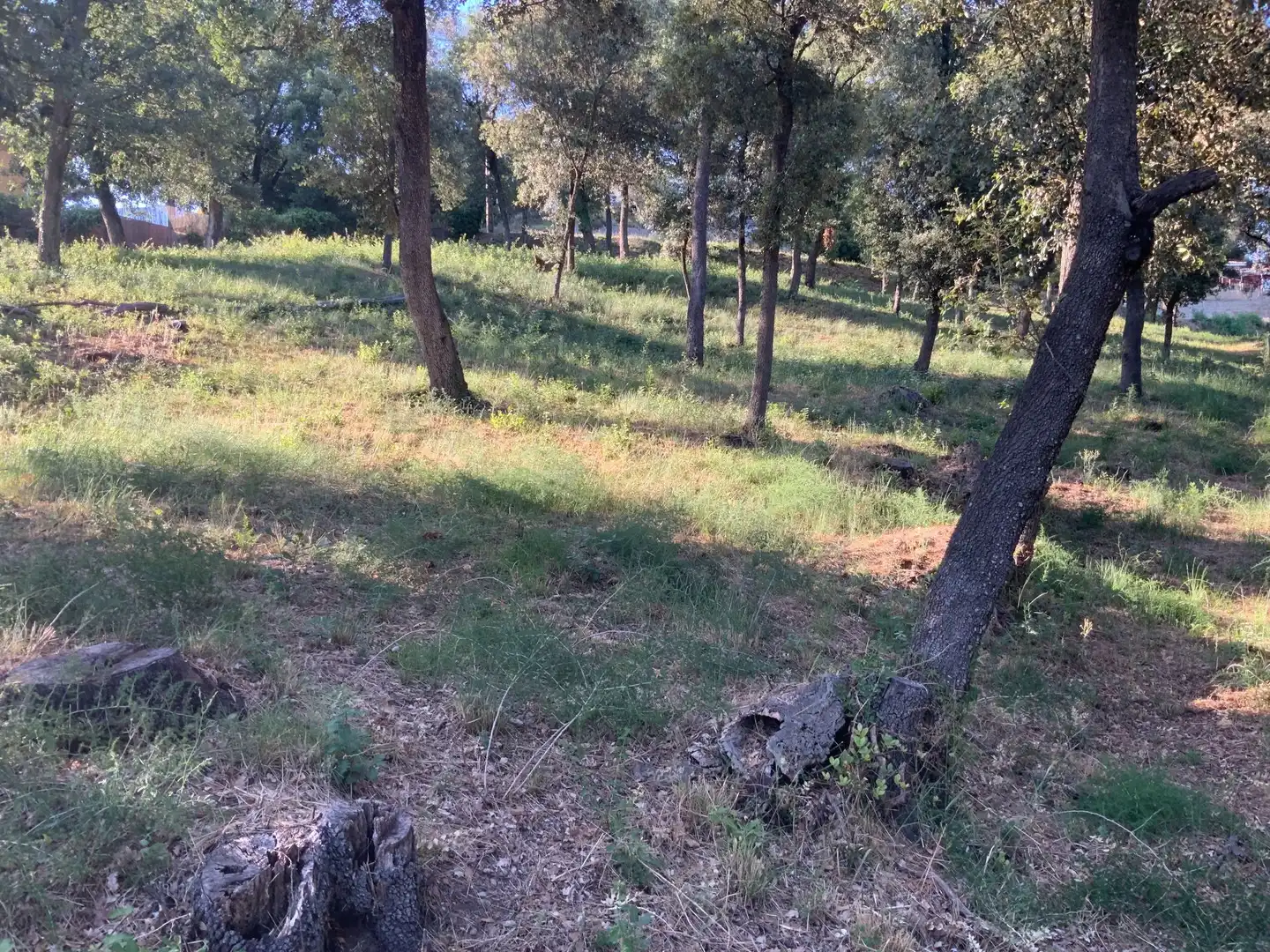 Residencial en venta en Santa Maria de Palautordera