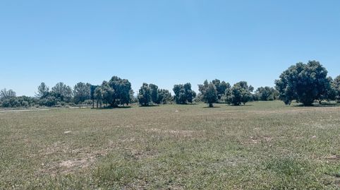 Terreno urbano en Alcover, imatge 5