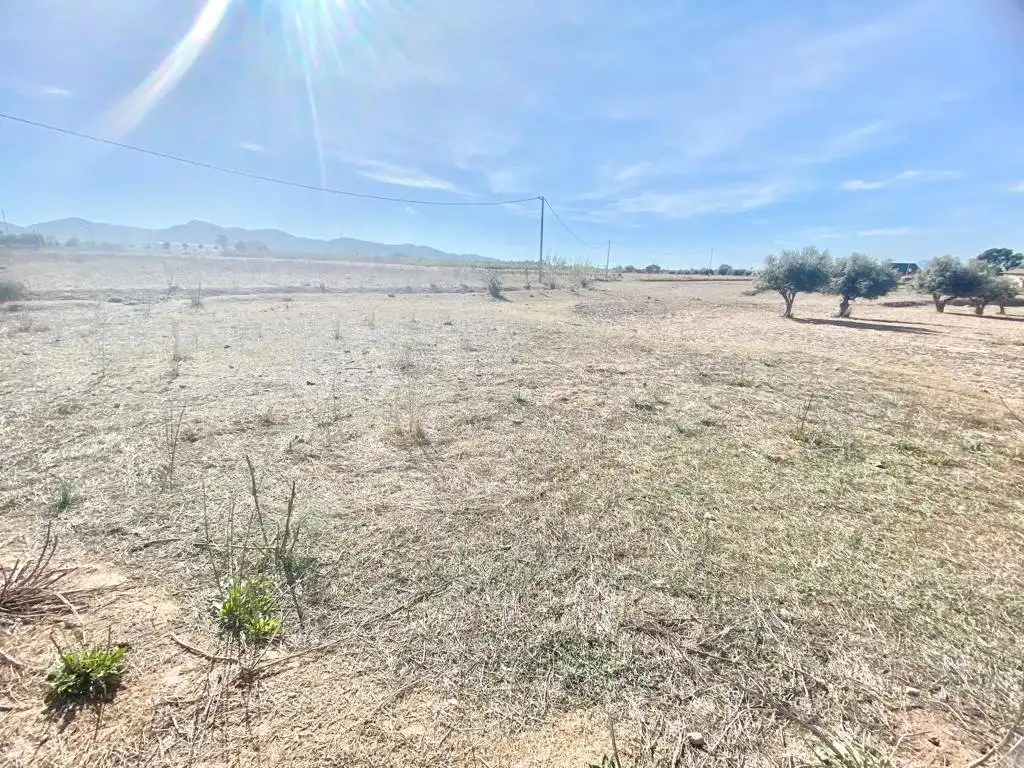 Residential land for sale in Pedanías Sur, imagen 2