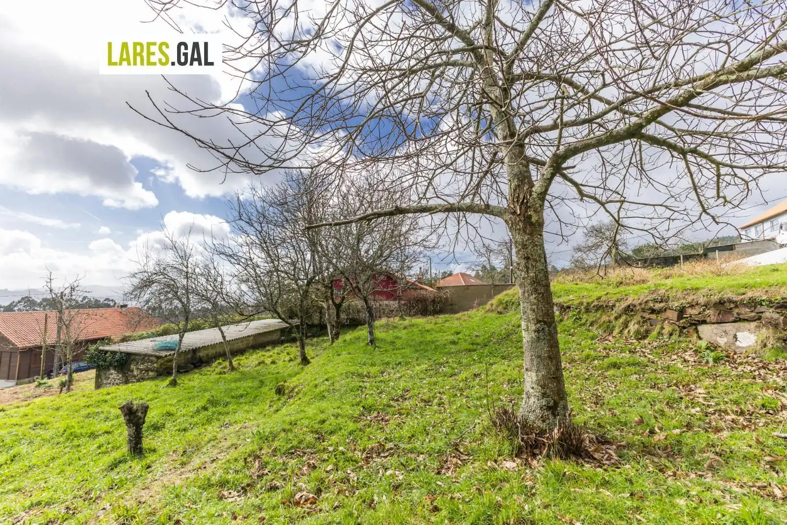 Terrain rustique à vendre à Lugar de San Lourenzo (Río do Calvo), imagen 20