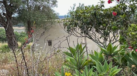 Photo 4 of Land for sale in El Palmar, Vejer de la Frontera