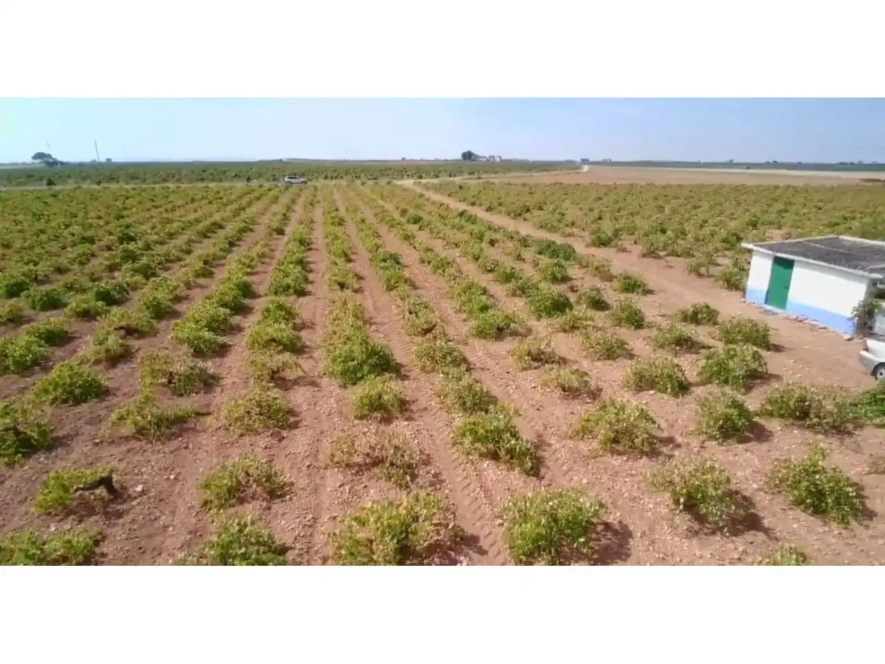 Rural land for sale in Manzanares, imagen 5