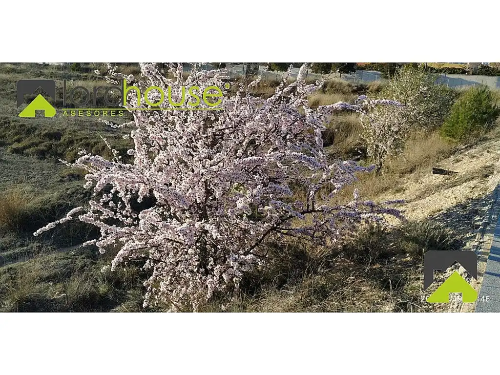 Jardín de Finca rústica en venta en Lorca