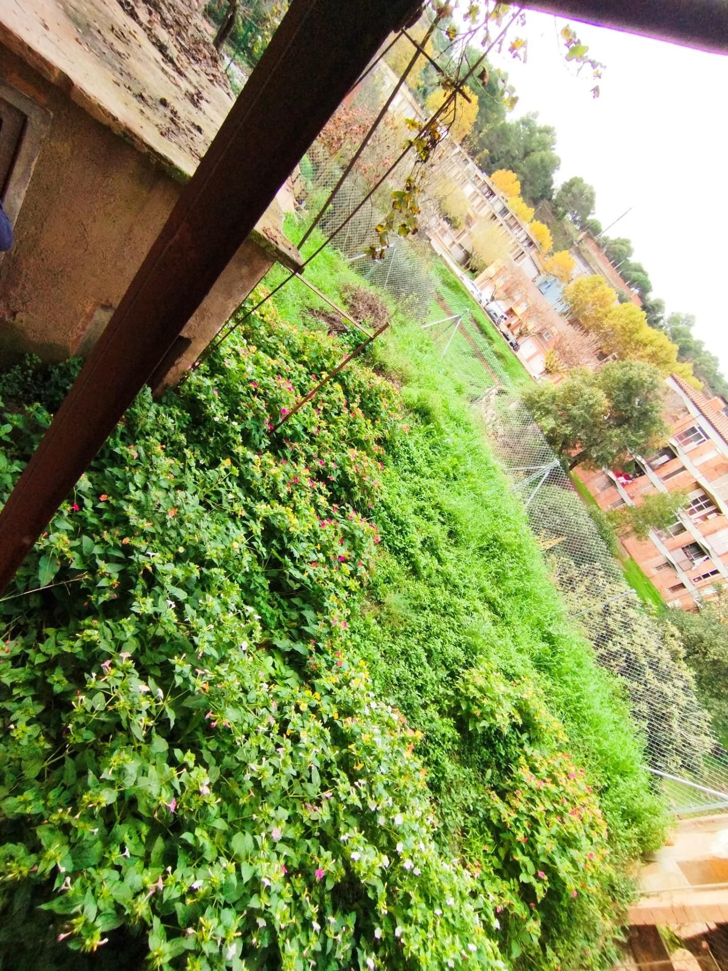 Jardí de Casa adosada en venda en Sant Llorenç Savall amb Jardí privat