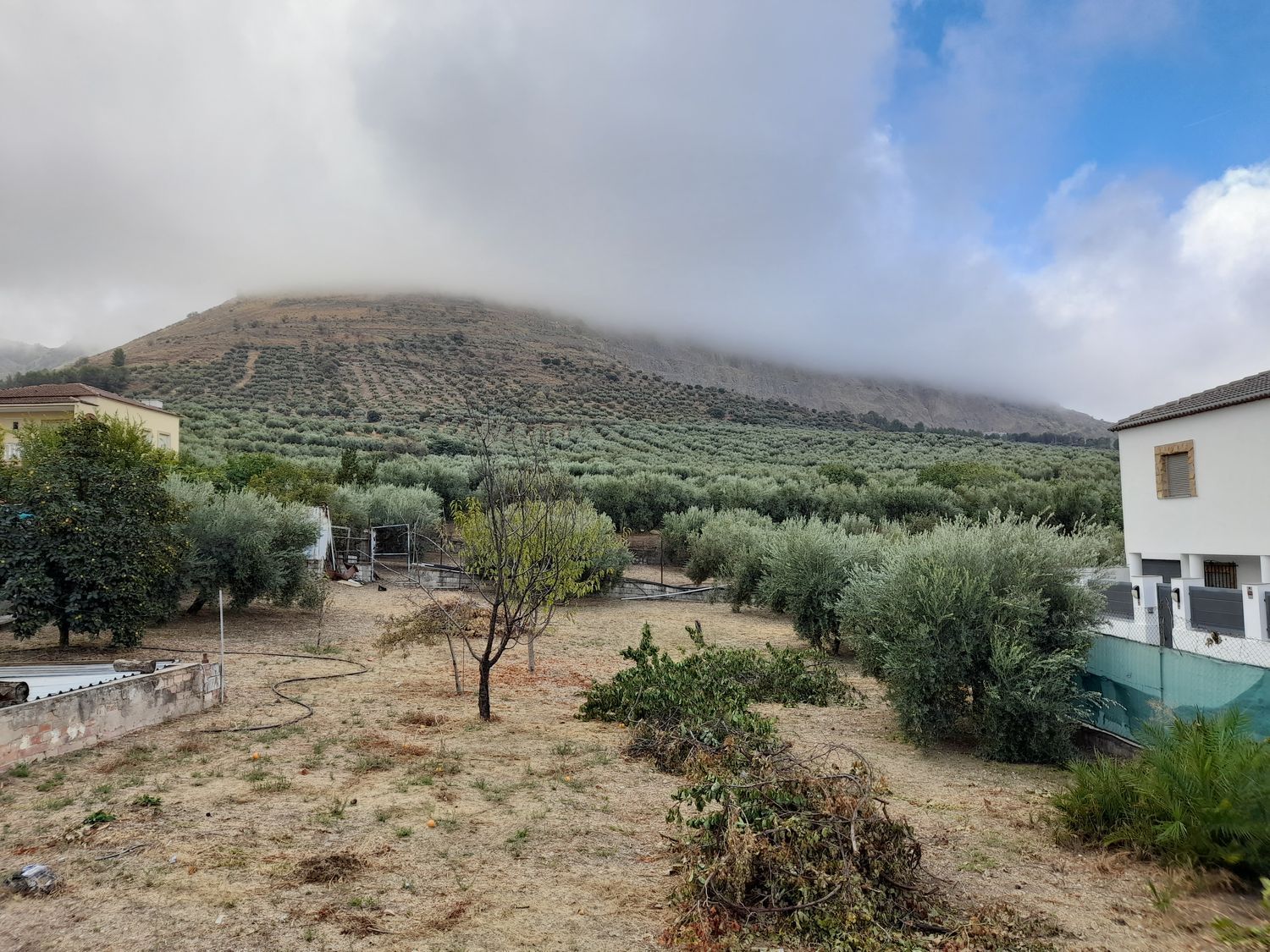Casa o xalet en venda en Jamilena amb Jardí privat, Terrassa i Traster