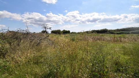 Foto 3 de Terreny en venda a Muro, Illes Balears