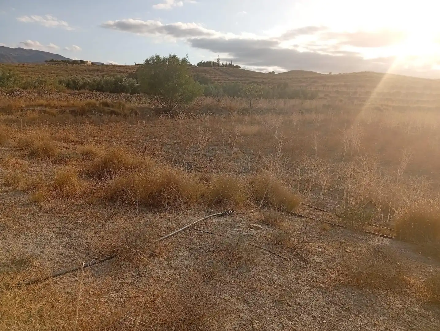 Terrenys i solars en venda a Los Gallardos, imagen 9