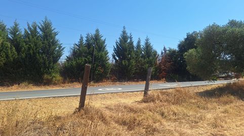 Foto 4 de Terreny en venda a N/a, -1, Beas, Huelva