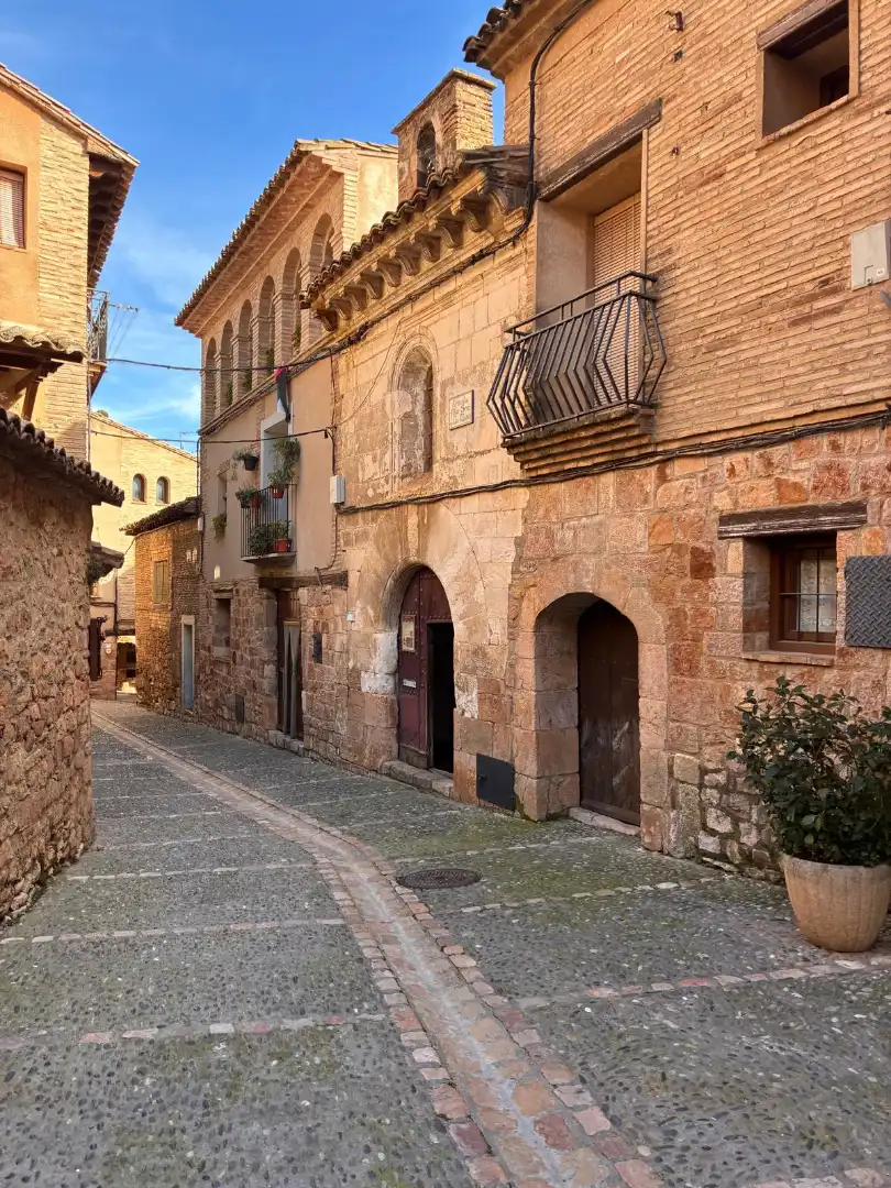 Vista exterior de Finca rústica en venda en Alquézar amb Jardí privat, Terrassa i Traster