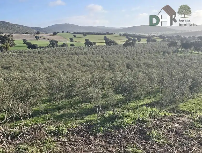 Terrenos y solares en venta en Santa María  - Pío XII, imagen 8