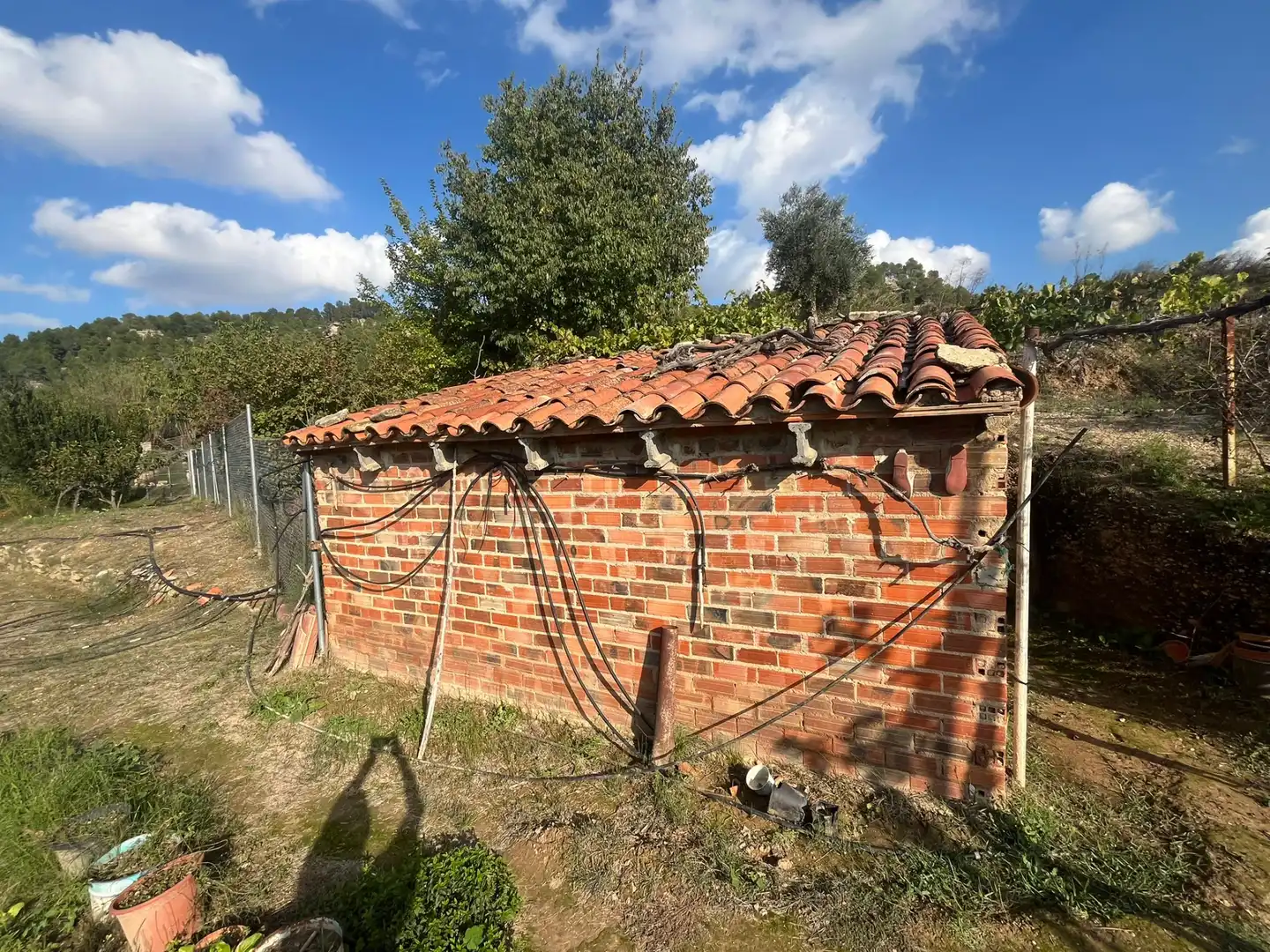 Terreni e lotti in vendita a Torre del Compte