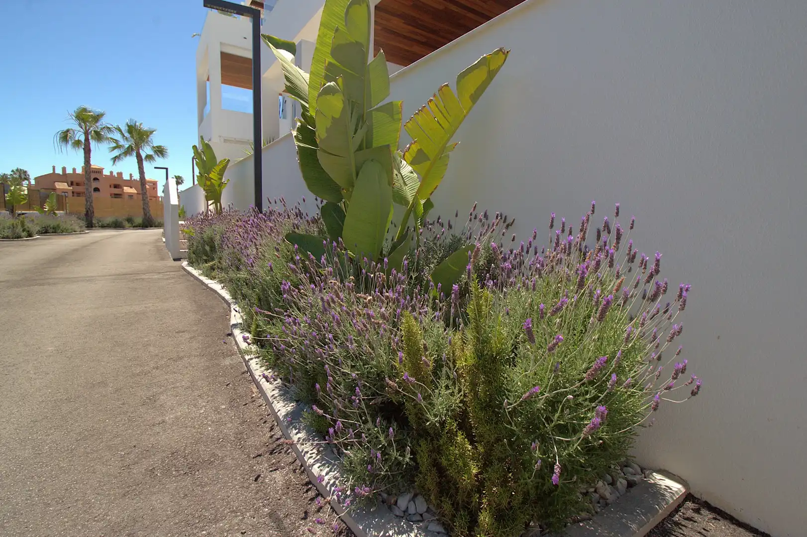 Apartment with pool for sale in Las Lomas de Rame - Bahía Bella, imagen 38
