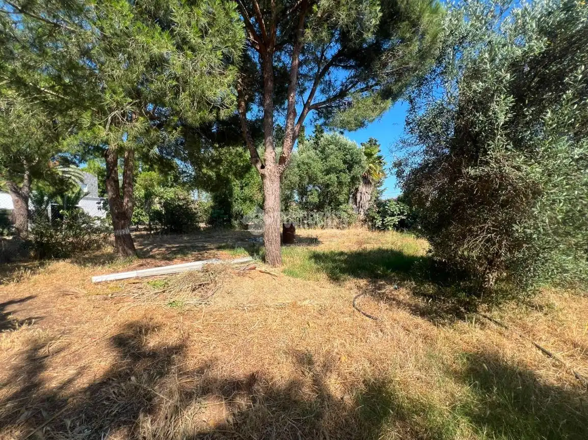 Rural land for sale in Roche, imagen 26